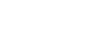STREET FEST
